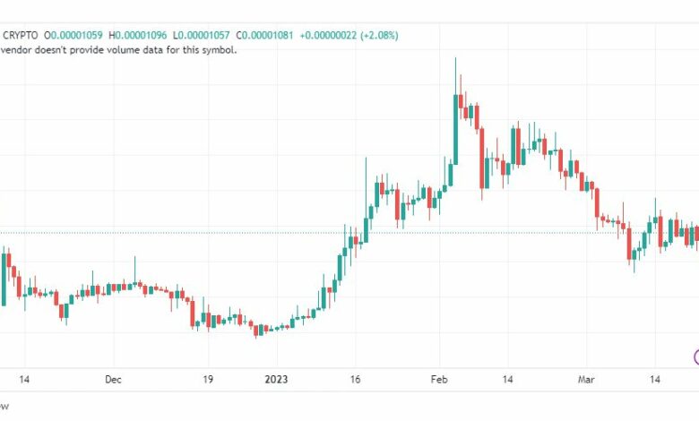 تحليل عملة شيبا اينو-SHIB-SHIBUSD-COIN-24-3-2023