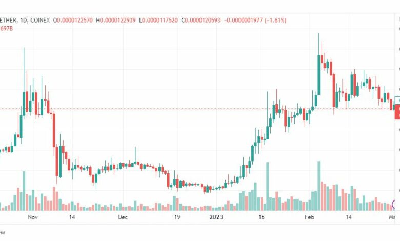 تحليل عملة شيبا اينو-SHIBAINU-SHIBUSDT-COIN-3-3-2023