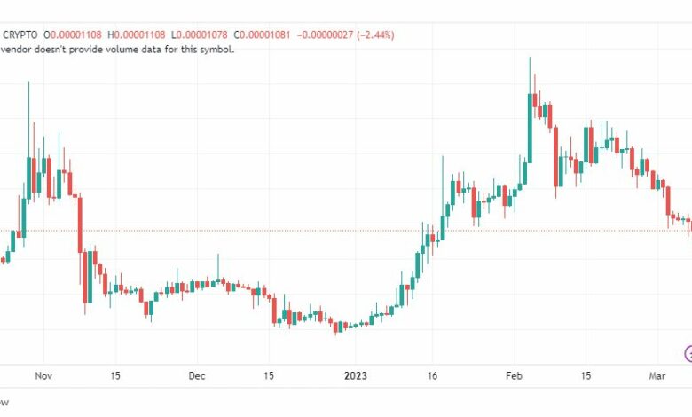 تحليل عملة شيبا اينو-SHIBUSD-COIN-8-3-2023