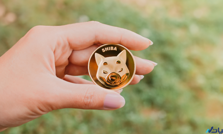 توقعات عملة شيبا اينو SHIB INU