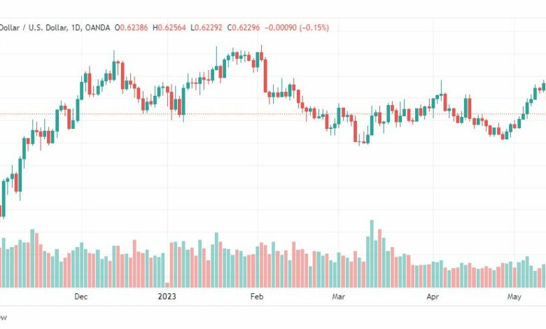 تحليل الدولار النيوزلندي-NZDUSD-16-5-2023