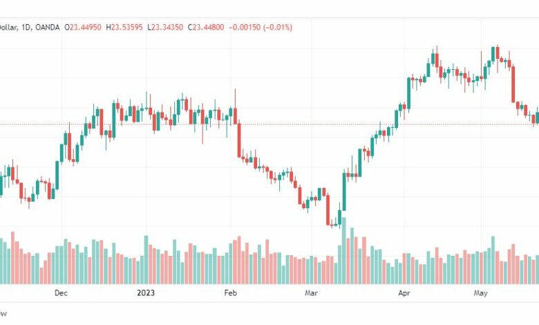 تحليل الفضة-XAGUSD-SILVER-24-5-2023