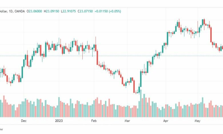 تحليل الفضة-XAGUSD-SILVER-25-5-2023