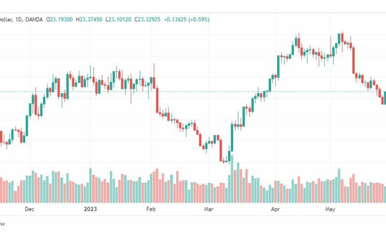 تحليل الفضة-XAGUSD-SILVER-31-5-2023