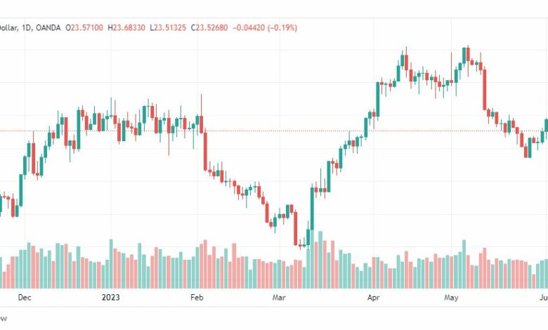 تحليل الفضة-XAGUSD-SILVER-6-6-2023