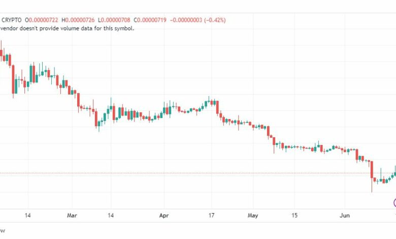 تحليل عملة شيبا اينو-SHIBUSD-COIN-19-6-2023