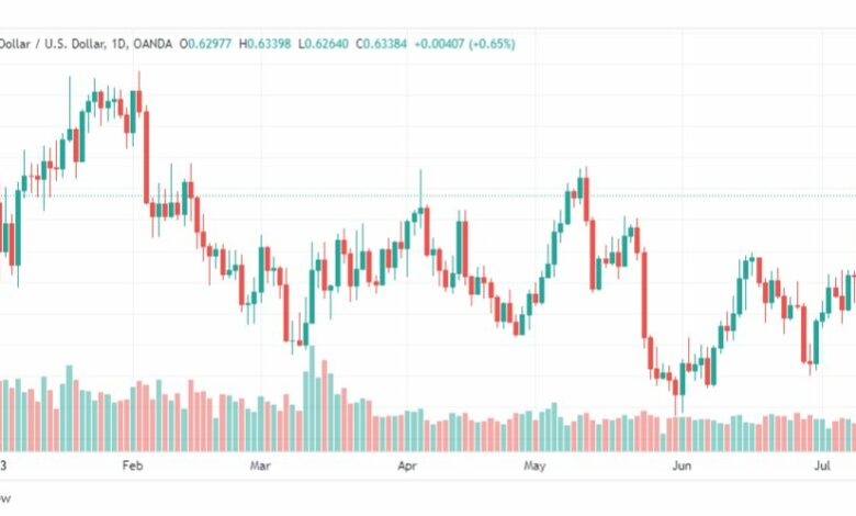 تحليل الدولار النيوزلندي-NZDUSD-13-7-2023