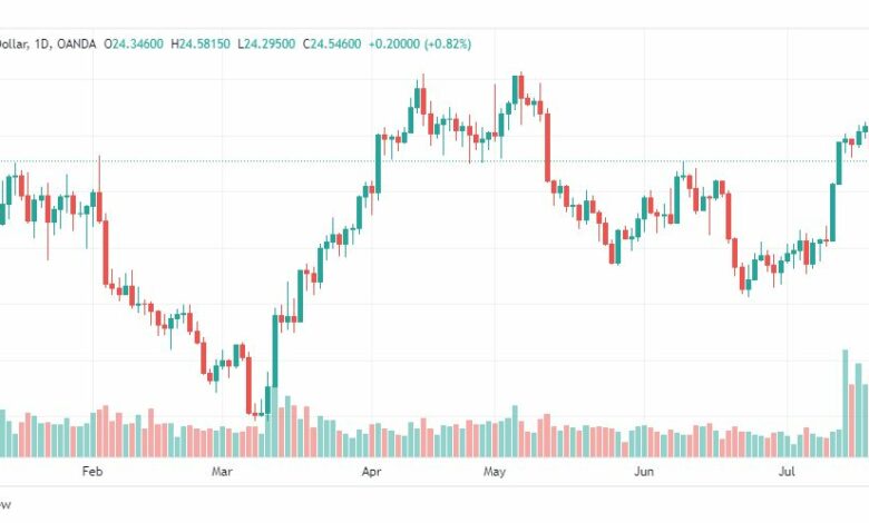 تحليل الفضة-XAGUSD-SILVER-25-7-2023