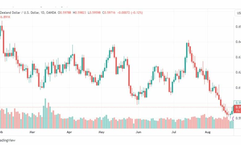 تحليل الدولار النيوزلندي-NZDUSD-24-8-2023