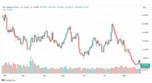 تحليل الدولار النيوزلندي-NZDUSD-28-8-2023