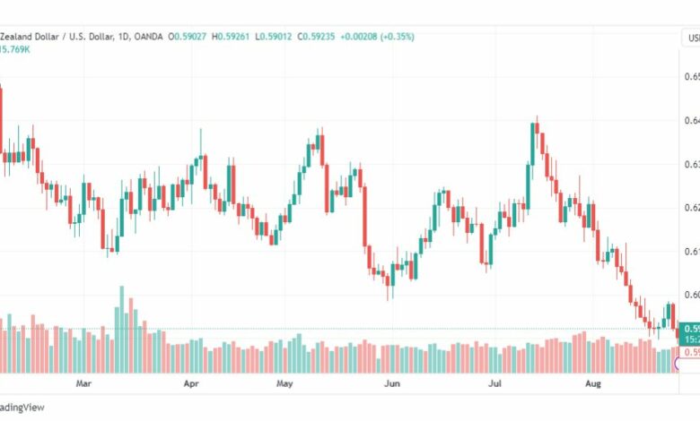 تحليل الدولار النيوزلندي-NZDUSD-28-8-2023