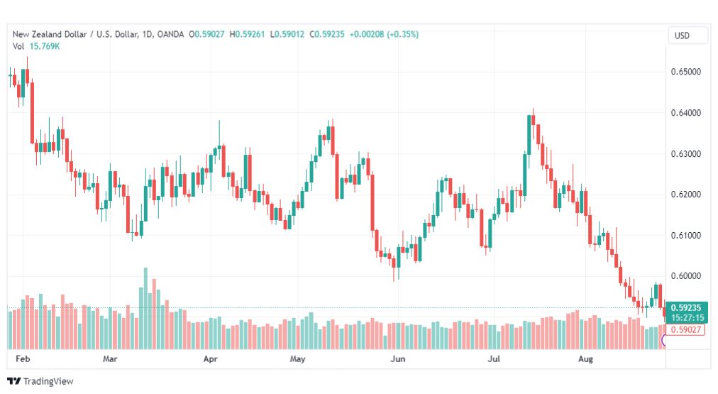 تحليل الدولار النيوزلندي-NZDUSD-28-8-2023