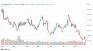 تحليل الدولار النيوزلندي-NZDUSD-29-8-2023