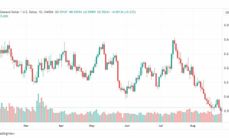 تحليل الدولار النيوزلندي-NZDUSD-29-8-2023