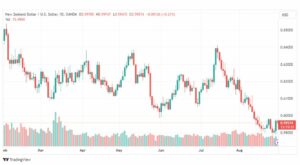 تحليل الدولار النيوزلندي-NZDUSD-30-8-2023