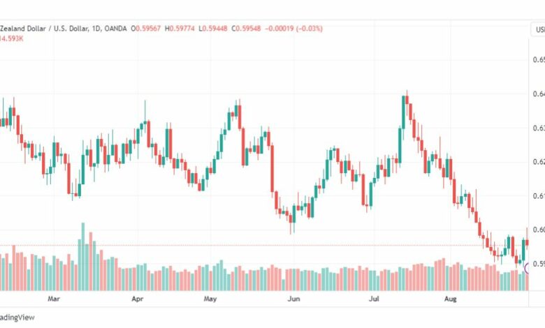 تحليل الدولار النيوزلندي-NZDUSD-31-8-2023