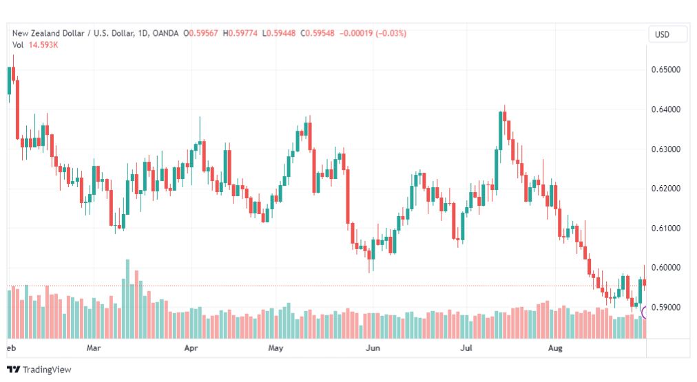 تحليل الدولار النيوزلندي-NZDUSD-31-8-2023