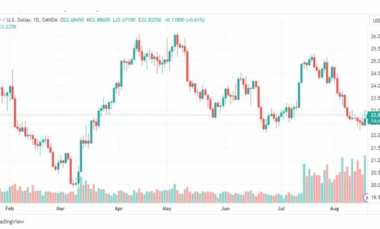 تحليل الفضة-XAGUSD-SILVER-18-8-2023