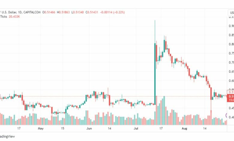 تحليل ريبل-XRPUSD-RIPPLE-29-8-2023