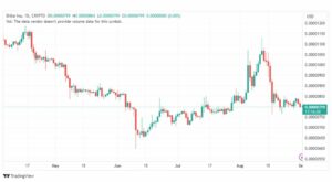تحليل عملة شيبا اينو-SHIBUSD-COIN-1-9-2023