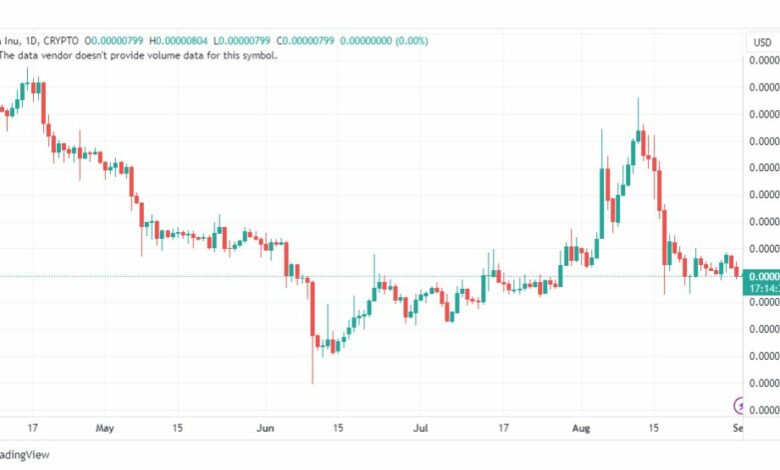 تحليل عملة شيبا اينو-SHIBUSD-COIN-1-9-2023