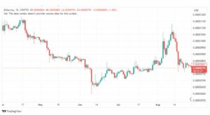 تحليل عملة شيبا اينو-SHIBUSD-SHIBAINU-COIN-28-8-2023