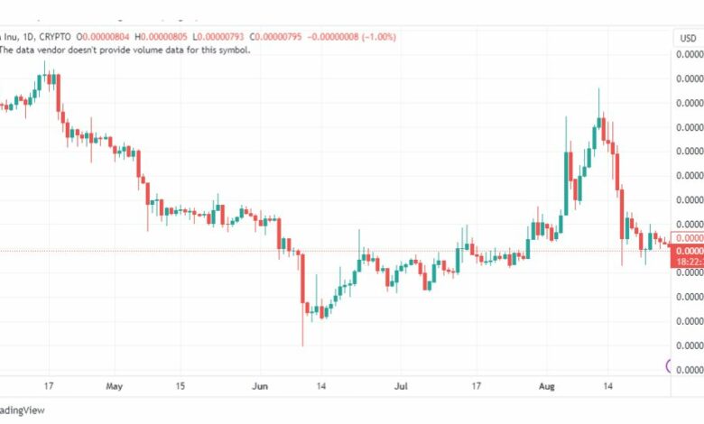 تحليل عملة شيبا اينو-SHIBUSD-SHIBAINU-COIN-28-8-2023