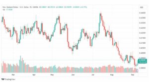 تحليل الدولار النيوزلندي-NZDUSD-11-9-2023