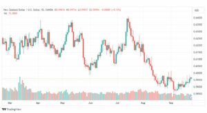 تحليل الدولار النيوزلندي-NZDUSD-26-9-2023