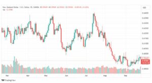 تحليل الدولار النيوزلندي-NZDUSD-27-9-2023