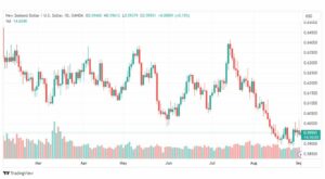 تحليل الدولار النيوزلندي-NZDUSD-4-9-2023