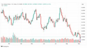 تحليل الدولار النيوزلندي-NZDUSD-6-9-2023