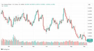 تحليل الدولار النيوزلندي-NZDUSD-8-9-2023