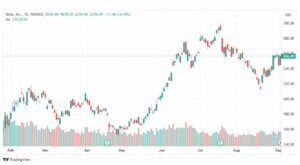 تحليل سهم تسلا-TESLA-STOCK-6-9-2023