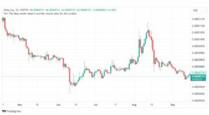 تحليل عملة شيبا اينو-SHIBUSD-INU-COIN-19-9-2023