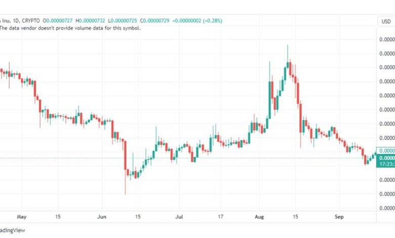 تحليل عملة شيبا اينو-SHIBUSD-INU-COIN-19-9-2023