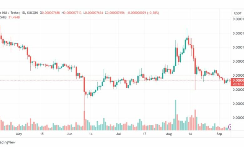 تحليل عملة شيبا اينو-SHIBUSDT-COIN-8-9-2023