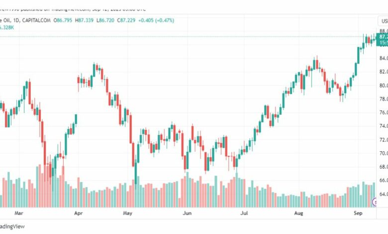 تحليل نفط خام تكساس-CRUDE-OIL-12-9-2023