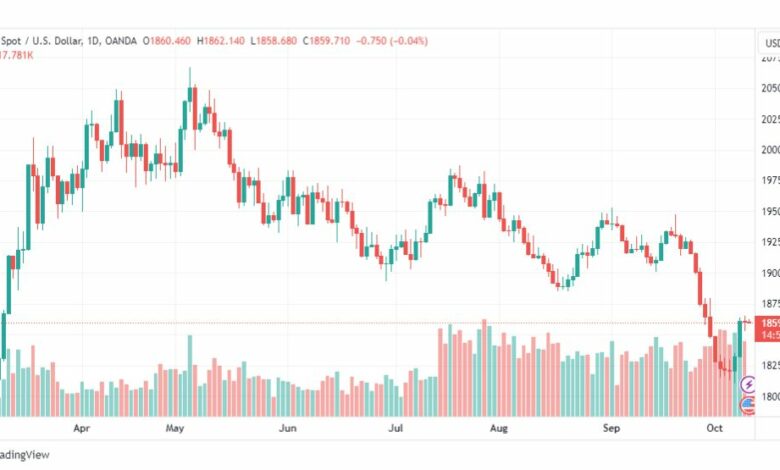 تحليل الذهب-XAUUSD-GOLD-11-10-2023