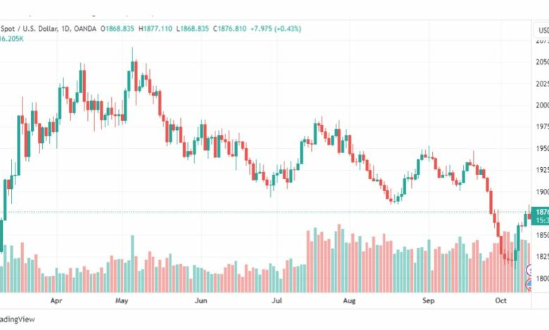 تحليل الذهب-XAUUSD-GOLD-13-10-2023