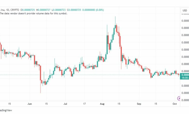 تحليل عملة شيبا اينو-SHIBUSD-INU-COIN-5-10-2023