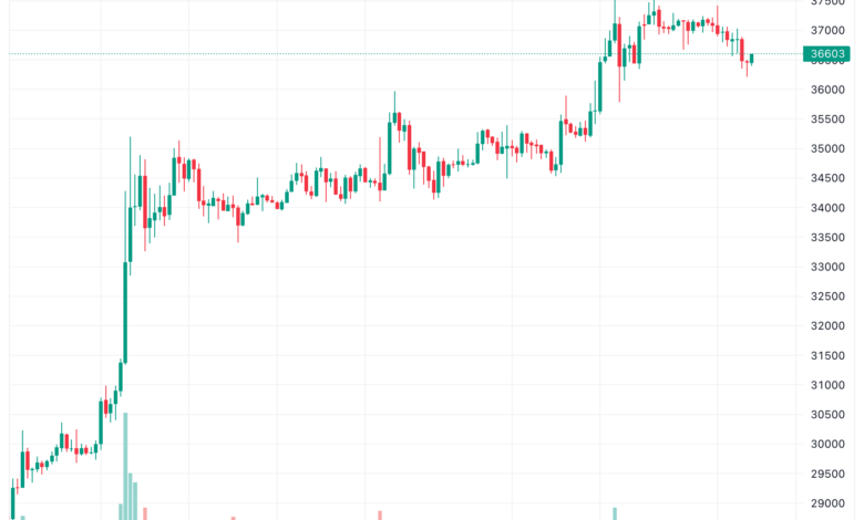تحليل البتكوين دولار BTCUSD - 14/11/2023