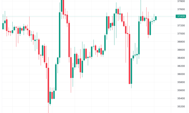 تحليل البتكوين دولار BTCUSD - 24/11/2023