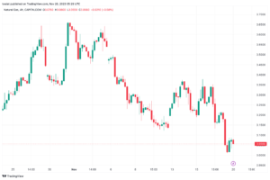 تحليل الغاز الطبيعي 20/11/2023 NATURAL GAS
