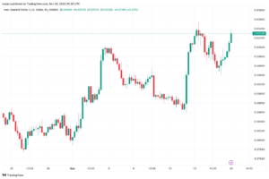 تحليل الدولار النيوزلندي NZD/USD - 20/11/2023