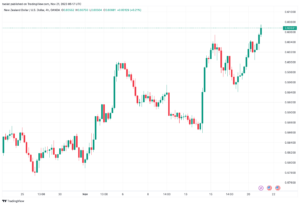 تحليل الدولار النيوزلندي NZD/USD - 21/11/2023