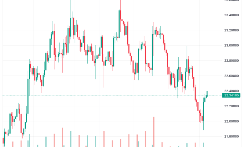 تحليل الفضة 14/11/2023 SILVER XAG/USD