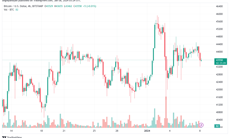 BTCUSD_2024-01-08_07-24-51-min