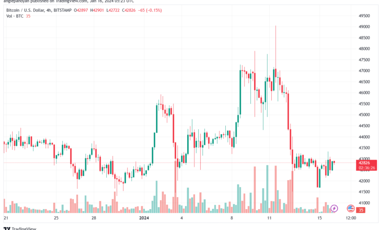 BTCUSD_2024-01-16_07-23-32-min