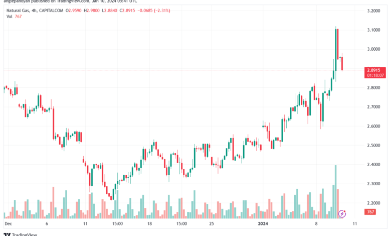 NATURALGAS_2024-01-10_07-41-51-min